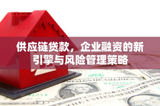 蒙山供应链贷款，企业融资的新引擎与风险管理策略