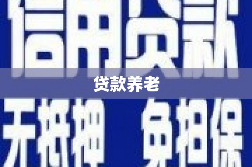 蒙山贷款养老