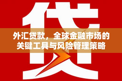 蒙山外汇贷款，全球金融市场的关键工具与风险管理策略