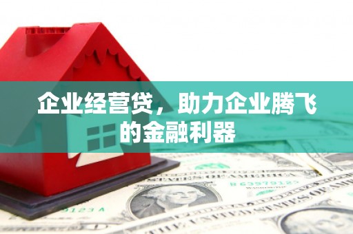 蒙山企业经营贷，助力企业腾飞的金融利器