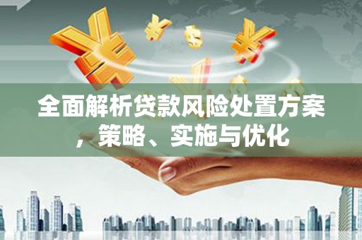 蒙山全面解析贷款风险处置方案，策略、实施与优化
