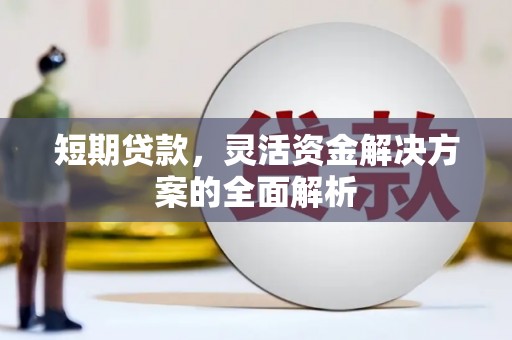 蒙山短期贷款，灵活资金解决方案的全面解析