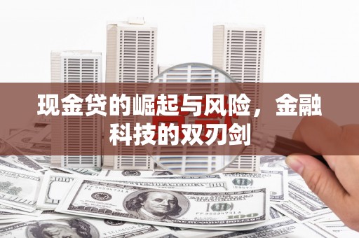 蒙山现金贷的崛起与风险，金融科技的双刃剑