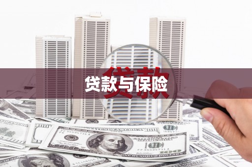 蒙山贷款与保险