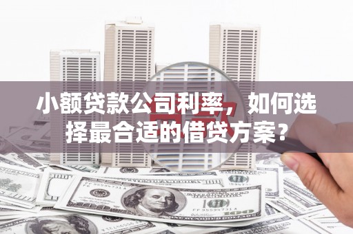 蒙山小额贷款公司利率，如何选择最合适的借贷方案？