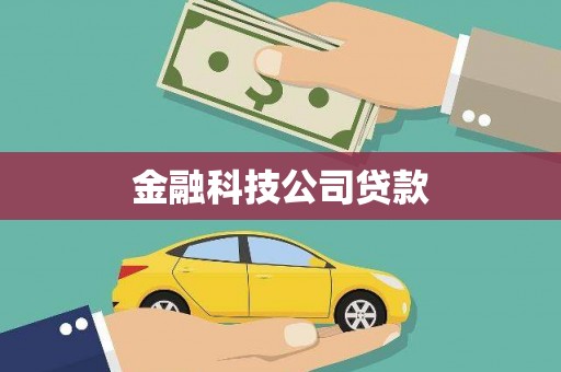 蒙山金融科技公司贷款