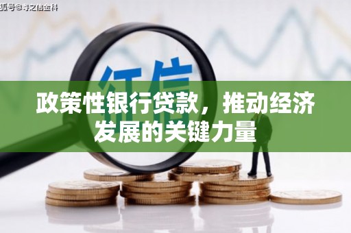 蒙山政策性银行贷款，推动经济发展的关键力量