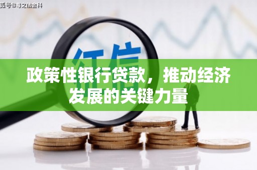 蒙山政策性银行贷款，推动经济发展的关键力量