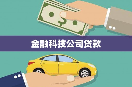 蒙山金融科技公司贷款