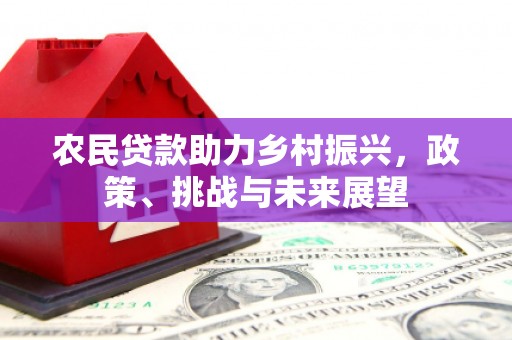 蒙山农民贷款助力乡村振兴，政策、挑战与未来展望