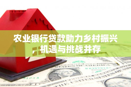 蒙山农业银行贷款助力乡村振兴，机遇与挑战并存