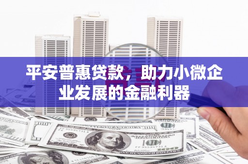 蒙山平安普惠贷款，助力小微企业发展的金融利器
