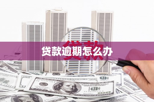 蒙山贷款逾期怎么办