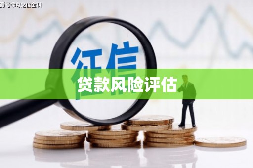 蒙山贷款风险评估