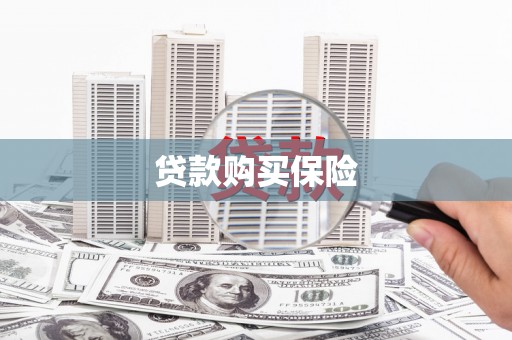 蒙山贷款购买保险