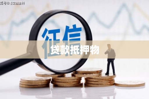 蒙山贷款抵押物