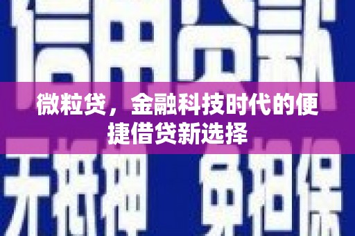 蒙山微粒贷，金融科技时代的便捷借贷新选择