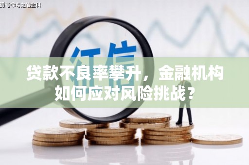 蒙山贷款不良率攀升，金融机构如何应对风险挑战？