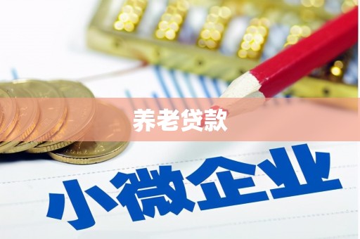 蒙山养老贷款
