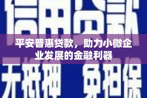 蒙山平安普惠贷款，助力小微企业发展的金融利器